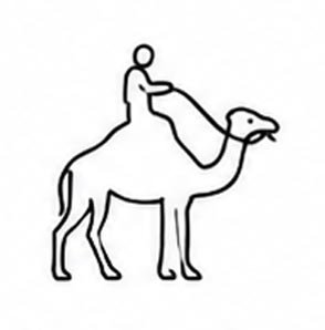 Camel safari
